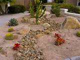 Drought Resistant Front Yard Landscaping