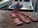 Miami Fishing Charters Prices