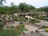 Backyard Landscaping Tucson