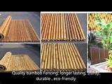 Pictures of Wood Cladding For Exterior Walls