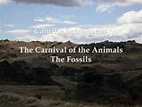 Carnival Of The Animals Fossils