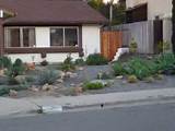 Awesome Front Yard Landscaping Photos