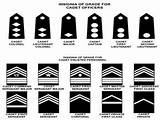 Army Uniform Rank Placement Pictures