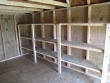 Shed With Shelves Pictures