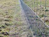 Electric Fence For Rabbits Photos