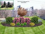 Images of Lee''s Landscaping & Design Inc