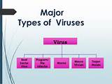 Images of Kinds Of Computer Virus