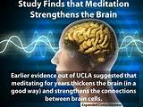 Meditation And The Brain Photos