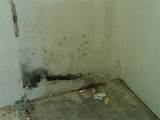 Water Damage Mold Removal Pictures