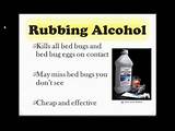 Rubbing Alcohol To Get Rid Of Bed Bugs Pictures