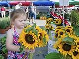 Images of Weston Farmers Market