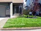 Images of Front Yard Landscaping Pictures