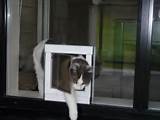 Cat Door For Sliding Window Photos