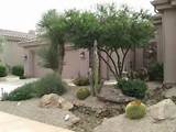 Pictures of Xeriscape Front Yard Design