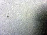 Termite Kick Out Holes Images