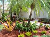 Low Maintenance Landscape Plants For South Florida Photos