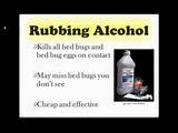 Images of Bed Bug Treatment With Alcohol