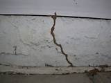Images of Termite Control Gilbert Az
