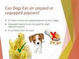 Images of Can Dogs Eat Popcorn