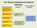 Pictures of Theory Of Evolution By Natural Selection
