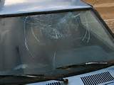 Images of Mobile Auto Glass Repair Tampa