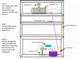 Working Principle Of Refrigerator With Diagram Pictures