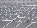 Photos of The Largest Solar Power Plant In India