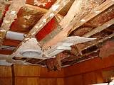 Non Structural Termite Damage Photos