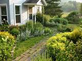 Yard Landscaping Pictures