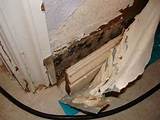 Water Damage And Mold Images