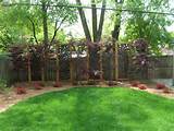 Privacy Landscaping Pictures