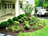 Easy Landscaping Ideas Pictures
