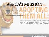 Aspca Good To Donate To Images