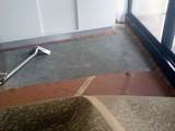 Wet Carpet And Underlay