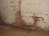 Photos of Black Spot Mould Removal