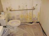 Pictures of Mold Removal Bathroom