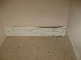 Types Of Termite Damage Pictures