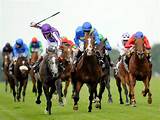 In Running Horse Racing Betting Pictures