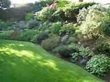 Garden Landscaping For Sloping Gardens Pictures