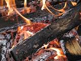 Images of Types Of Wood You Can Burn
