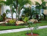 Front Yard Design Pictures