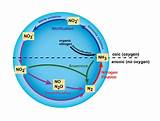 Nitrogen Gas In Water Photos