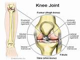 Images of Knee Tendonitis Recovery