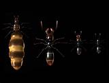 Ant Queen Game Photos