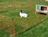 Electric Fence For Rabbits