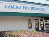 Camino Pet Hospital Irvine Images