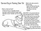 Service Dog Coloring Pages Images