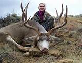 Wyoming Mule Deer Hunting Outfitters Photos