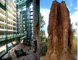 Photos of Biomimicry Termite Mounds