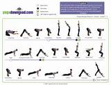 Pictures of Yoga Exercise Routine For Beginners